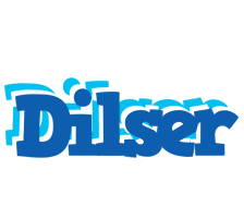 Dilser business logo