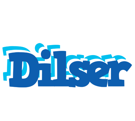 Dilser business logo
