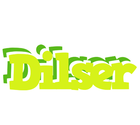 Dilser citrus logo