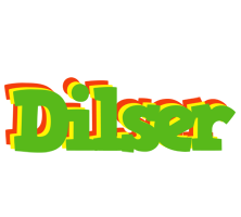 Dilser crocodile logo