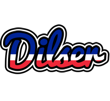Dilser france logo