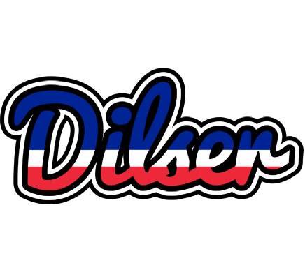 Dilser france logo