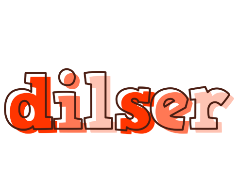 Dilser paint logo