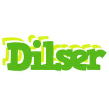 Dilser picnic logo