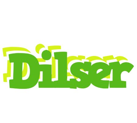 Dilser picnic logo