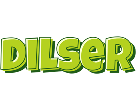 Dilser summer logo