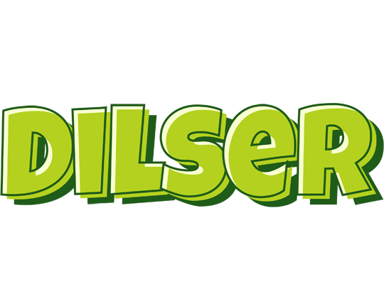 Dilser summer logo