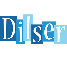 Dilser winter logo