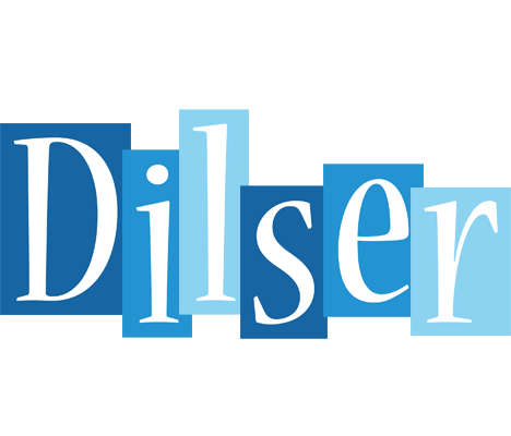 Dilser winter logo