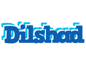 Dilshad business logo