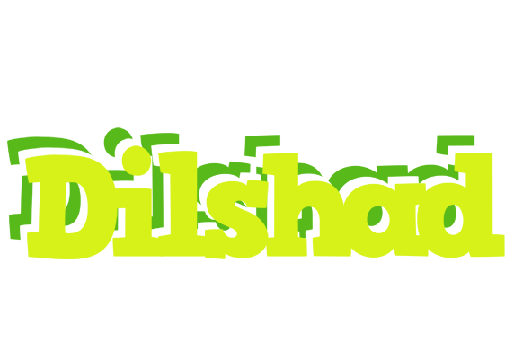 Dilshad citrus logo