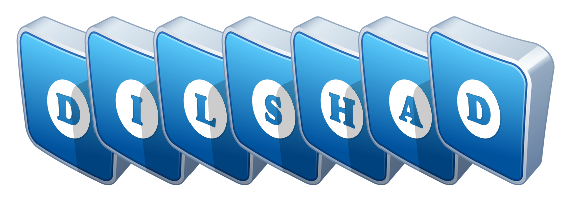 Dilshad flippy logo
