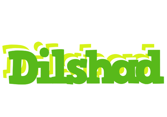 Dilshad picnic logo