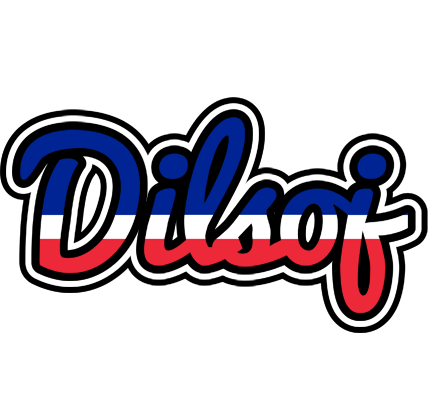 Dilsoj france logo