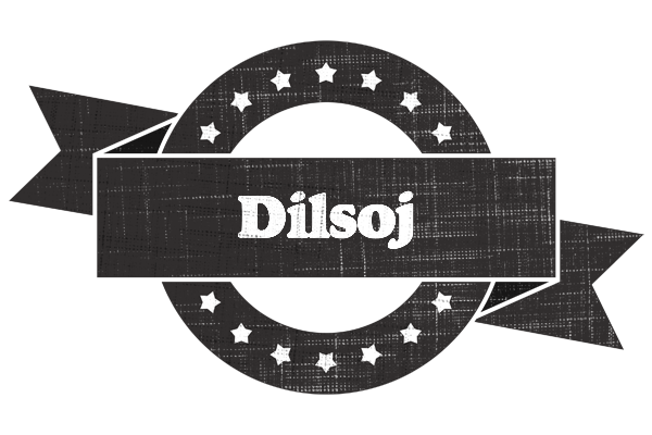 Dilsoj grunge logo