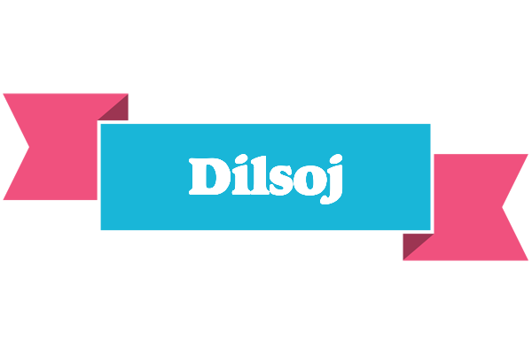 Dilsoj today logo