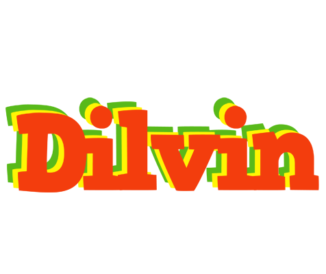 Dilvin bbq logo