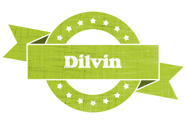 Dilvin change logo