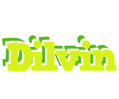 Dilvin citrus logo