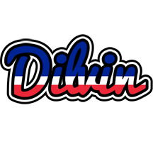 Dilvin france logo