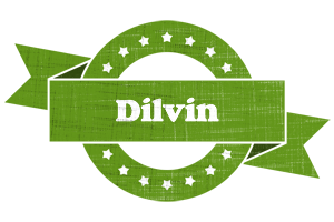 Dilvin natural logo