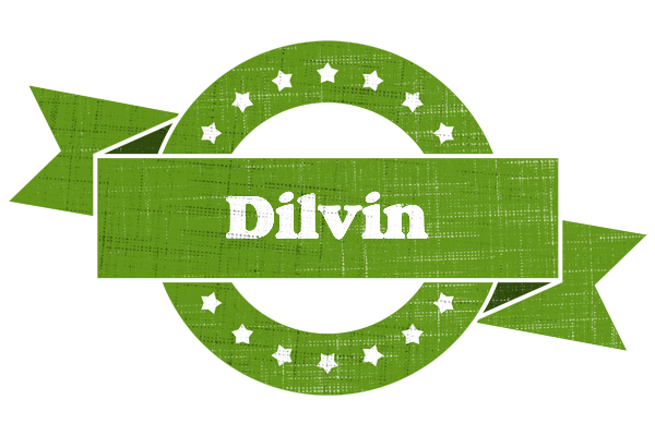 Dilvin natural logo
