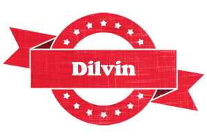 Dilvin passion logo