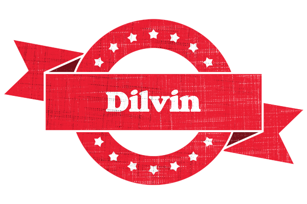 Dilvin passion logo