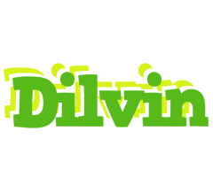 Dilvin picnic logo