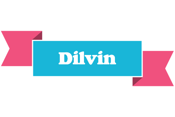 Dilvin today logo