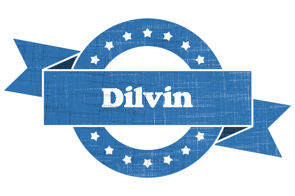 Dilvin trust logo