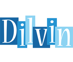 Dilvin winter logo