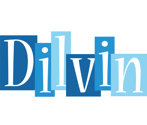 Dilvin winter logo