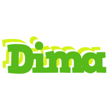 Dima picnic logo