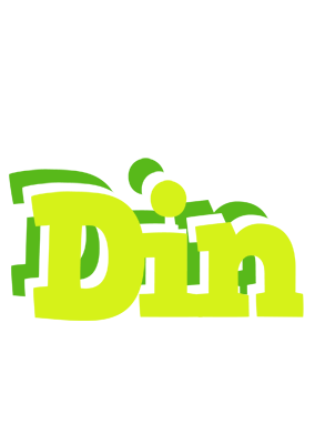 Din citrus logo