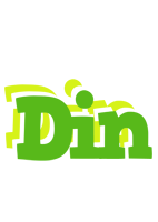 Din picnic logo