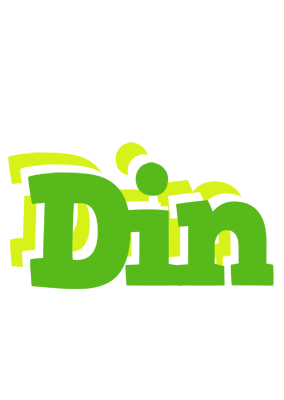 Din picnic logo