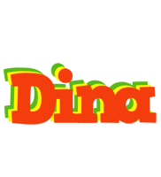 Dina bbq logo