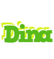 Dina picnic logo