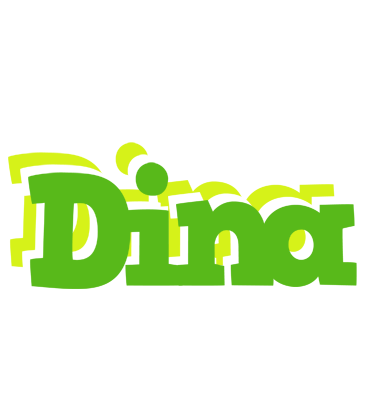 Dina picnic logo