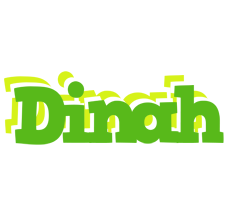 Dinah picnic logo