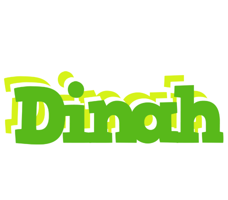 Dinah picnic logo