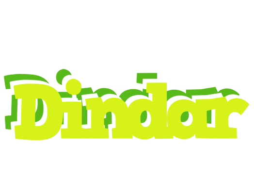 Dindar citrus logo
