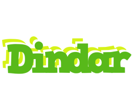 Dindar picnic logo