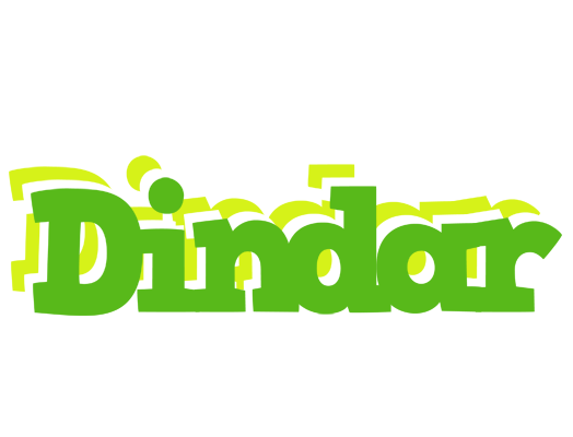 Dindar picnic logo