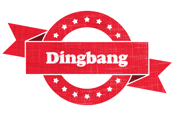 Dingbang passion logo