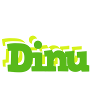 Dinu picnic logo