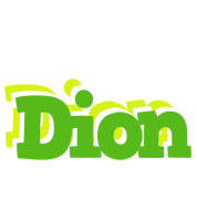 Dion picnic logo