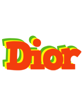 Dior bbq logo