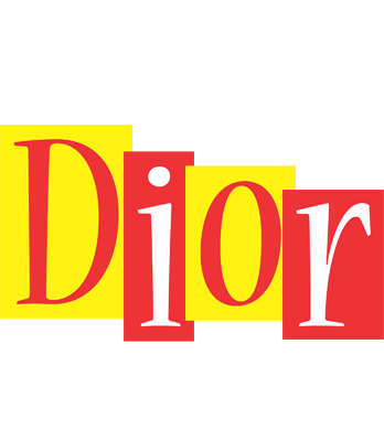 Dior errors logo